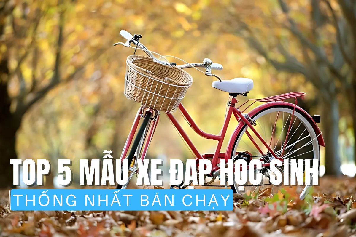 Top 5 mẫu xe đạp học sinh Thống Nhất bán chạy