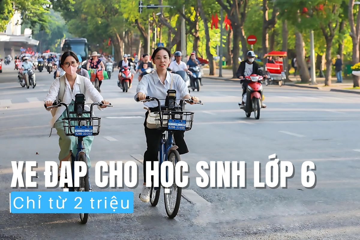 Xe Đạp Cho Học Sinh Lớp 6 Chỉ Từ 2 Triệu