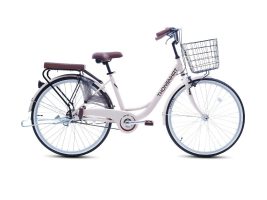 Xe dap hoc sinh Thong Nhat noi bat voi kieu dang co dien 1