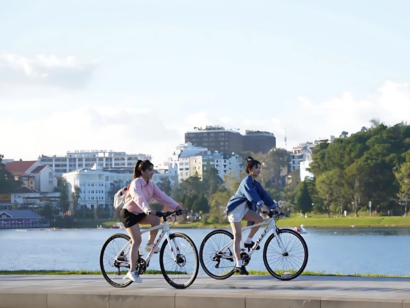 Xe Đạp Cho Học Sinh Lớp 6 Chỉ Từ 2 Triệu 21 Xe đạp học sinh có đa dạng kiểu loại