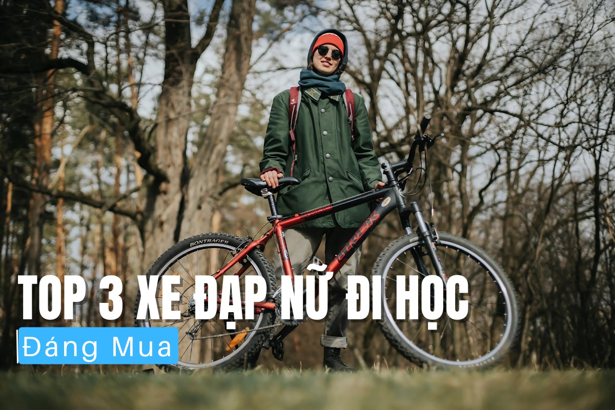 Top 3 Xe Đạp Nữ Đi Học Đáng Mua