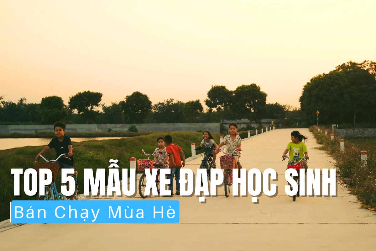 Top 5 Mẫu Xe Đạp Học Sinh Bán Chạy Mùa Hè