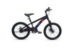 Xe Đạp Địa Hình Trẻ Em Raccoon Dason 20 Inch