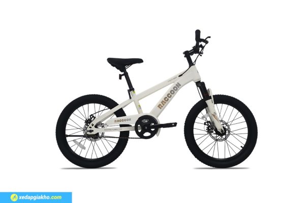 Xe Đạp Địa Hình Trẻ Em Raccoon Dason 20 Inch