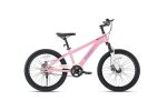 Xe Đạp Địa Hình Trẻ Em Raccoon Dason 20 Inch