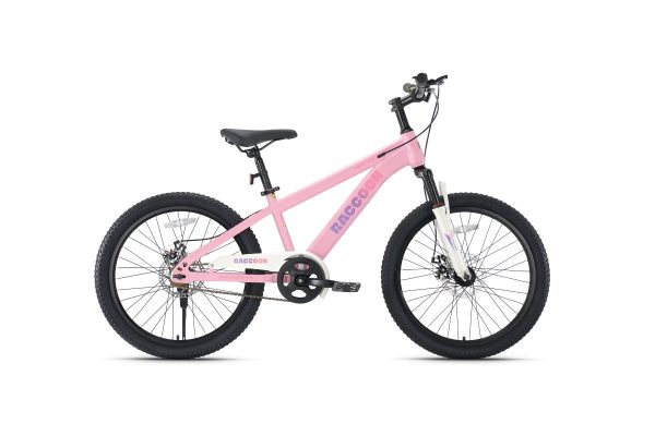Xe Đạp Địa Hình Trẻ Em Raccoon Dason 20 Inch