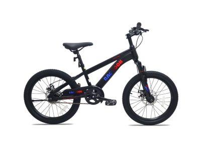 Xe Đạp Địa Hình Trẻ Em Raccoon Dason 20 Inch