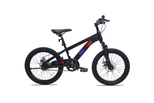 Xe Đạp Địa Hình Trẻ Em Raccoon Dason 20 Inch