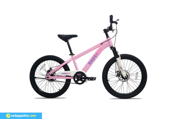 Xe Đạp Địa Hình Trẻ Em Raccoon Dason 22 Inch