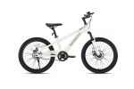 Xe Đạp Địa Hình Trẻ Em Raccoon Dason 22 Inch