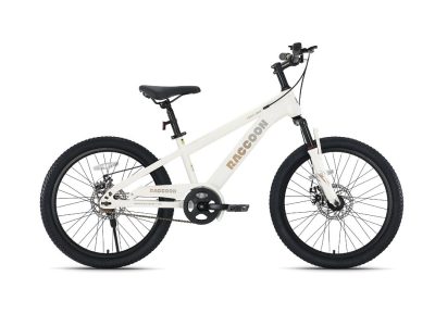 Xe Đạp Địa Hình Trẻ Em Raccoon Dason 22 Inch