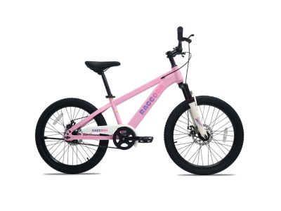 Xe Đạp Địa Hình Trẻ Em Raccoon Dason 22 Inch
