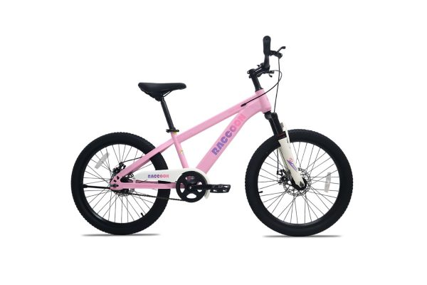 Xe Đạp Địa Hình Trẻ Em Raccoon Dason 22 Inch