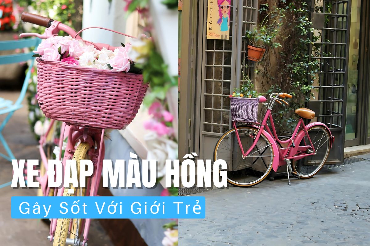 Xe Dap Mau Hong Gay Sot Voi Gioi Tre