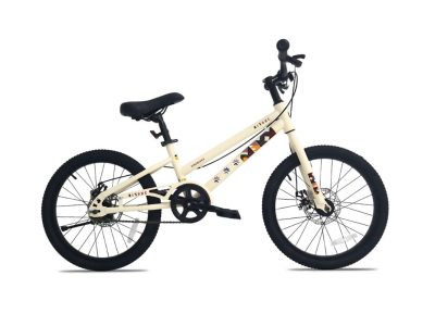 Xe Đạp Trẻ Em Bé Trai Qitong Gason 20 Inch
