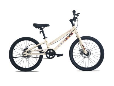 Xe Đạp Trẻ Em Bé Trai Raccoon Gason 22 Inch
