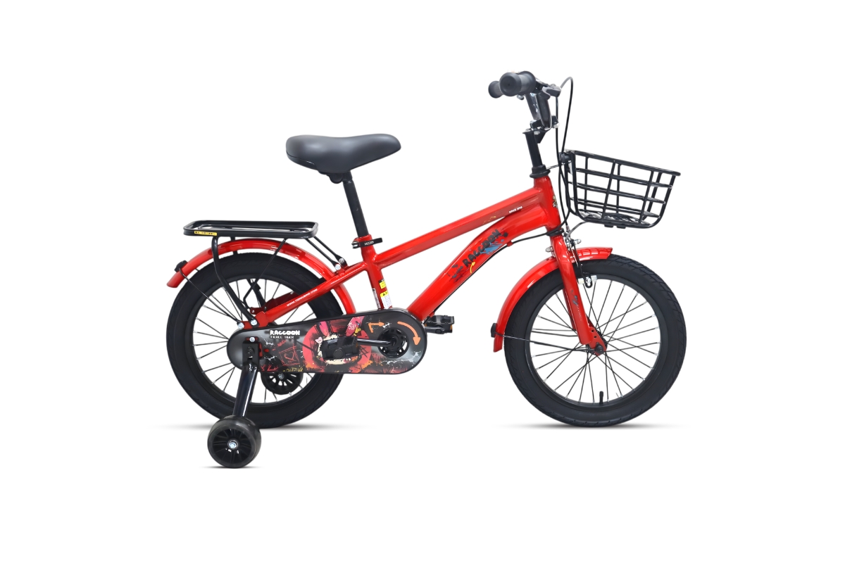 Xe Đạp Trẻ Em Raccoon Mason 16 Inch