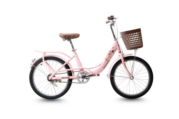 Xe Đạp Trẻ Em Raccoon Rina 20 Inch