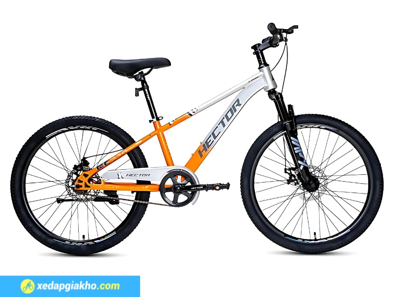 Top 5 Mẫu Xe Đạp Học Sinh Bán Chạy Mùa Hè 12 Xe đạp địa hình MTB Hector Look 24 Inch
