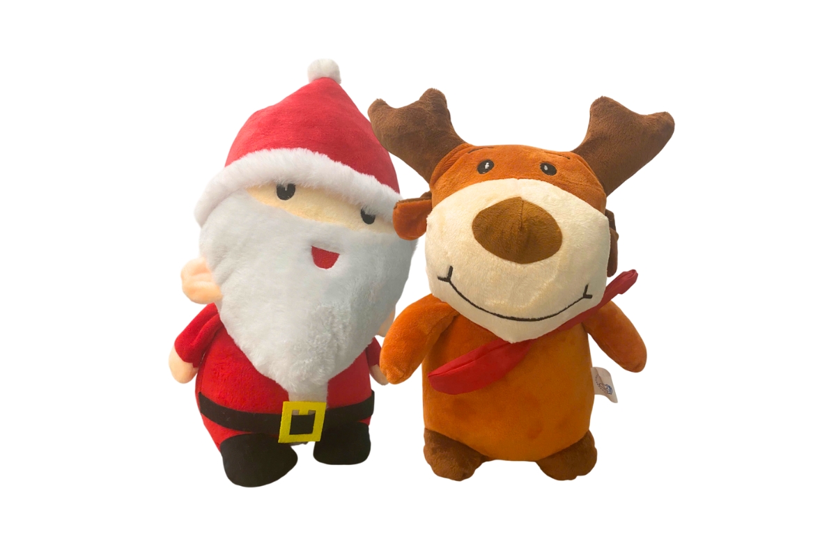 Quà tặng cho bé khi mua xe đạp raccoon và Qitong