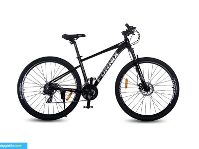 Xe Đạp Địa Hình MTB Fornix M9 29 Inch màu đen