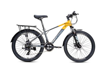 Xe Đạp Địa Hình MTB Hector Lazer 1B 24 Inch