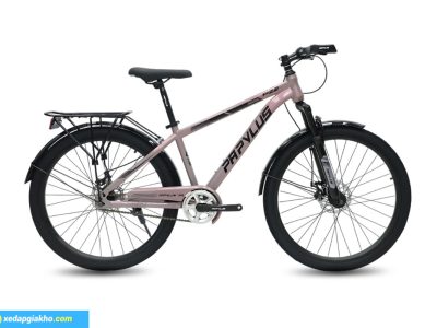 Xe Đạp Địa Hình MTB Papylus PZ2 26 Inch Màu Ghi Sứ Đen