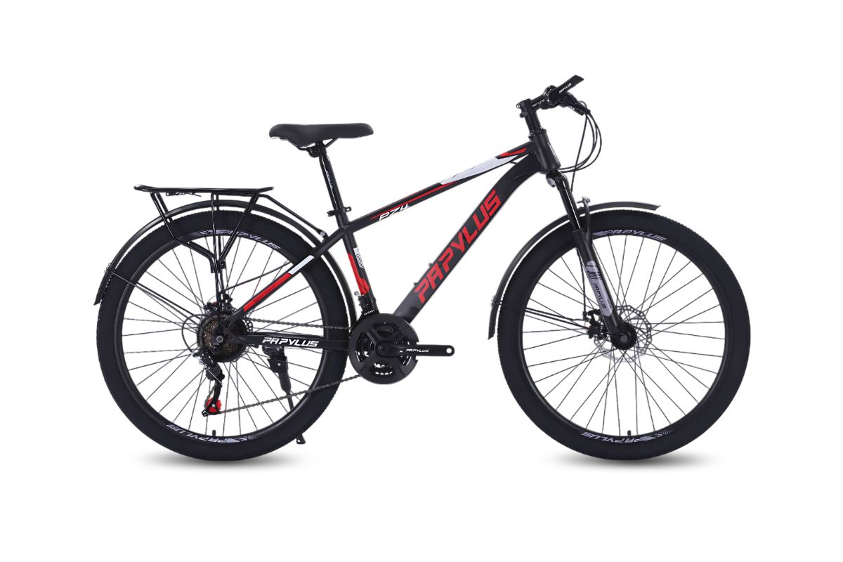 Xe Đạp Địa Hình MTB Papylus PZ4M 26 Inch