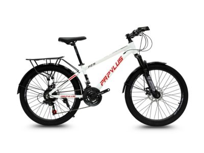 Xe Đạp Địa Hình Papylus PZ5M 24 Inch