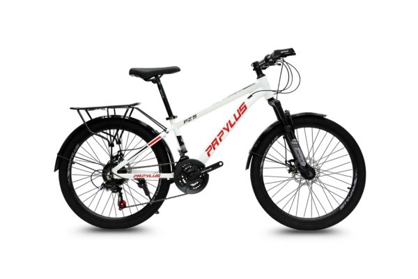 Xe Đạp Địa Hình Papylus PZ5M 24 Inch