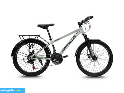 Xe Đạp Địa Hình Papylus PZ5M 24 Inch màu Xám Xi Măng