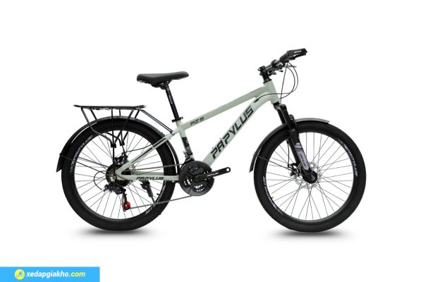 Xe Đạp Địa Hình Papylus PZ5M 24 Inch màu Xám Xi Măng