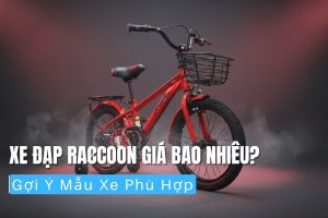 Xe Đạp Raccoon Giá Bao Nhiêu Gợi Ý Mẫu Xe Phù Hợp