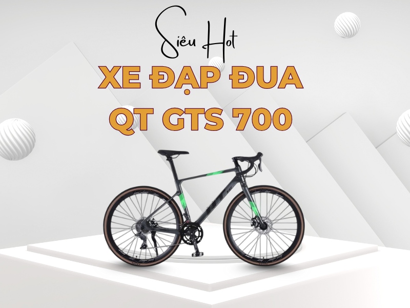 Top 5 Xe Đạp Tay Cong Mà Ai Chạy Trông Cũng "Có Gu" 8 Xe đạp QT GTS 700 hiệu suất tuyệt vời