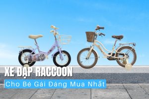 Xe đạp Raccoon cho bé gái từ 2-7 tuổi có thể lựa chọn những size như 12, 14, 20, 22.