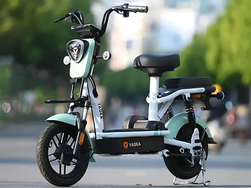 Xe đạp điện Action là thương hiệu nổi tiếng với người tiêu dùng