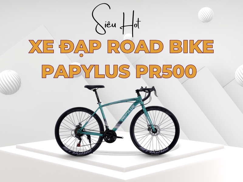 Top 5 Xe Đạp Tay Cong Mà Ai Chạy Trông Cũng "Có Gu" 4 Xe đạp đua Papylus Pr500 năng động, cá tính