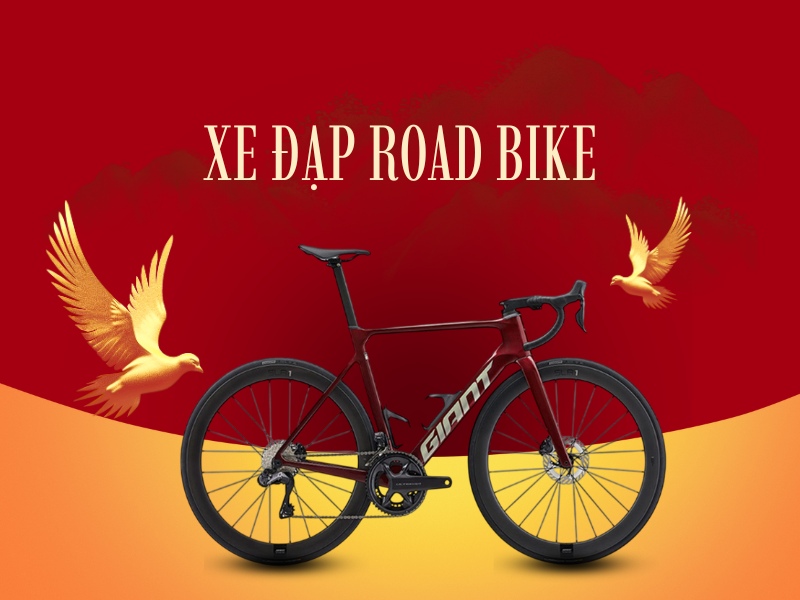 Top 5 Xe Đạp Tay Cong Mà Ai Chạy Trông Cũng "Có Gu" 3 Xe đạp tay cong thường được gọi là xe đạp road bike hay xe đạp đua