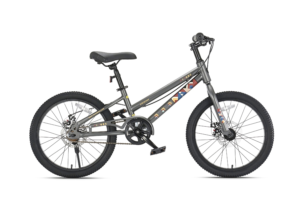 Xe đạp trẻ em Qitong Gason 22 inch thiết kế thể thao khỏe khoắn, bền bỉ