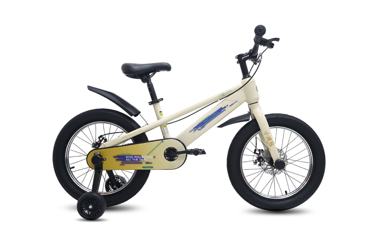 Xe đạp trẻ em Raccoon Tyson 18 inch thiết kế thời trang, 2 bánh phụ đi kèm