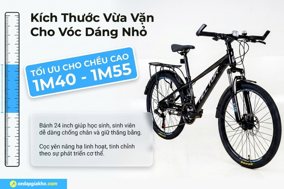 Xe Đạp Địa Hình MTB Hector Apollo 1B 24 Inch 14 Chiều cao phù hợp sử dụng xe đạp