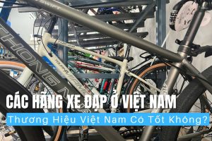 Điểm Danh Các Hãng Xe Đạp Ở Việt Nam Đáng Mua Nhất 3 Các hãng xe đạp ở Việt Nam