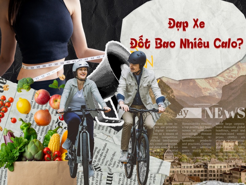 Đạp Xe Đốt Bao Nhiêu Calo? So Với Chạy Bộ Cái Nào Hiệu Quả 1 Đạp xe đốt bao nhiêu calo sẽ dựa vào việc tập luyện và chế độ sinh hoạt