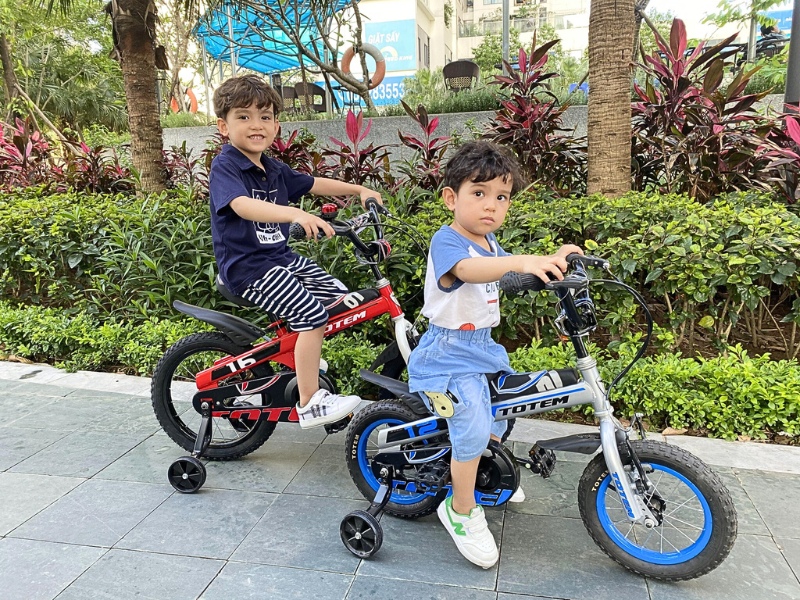 Xe Đạp Totem Của Nước Nào? Bảng Giá Và Những Lưu Ý Khi Mua Cho Bé 9 Totem là thương hiệu xe đạp được nhiều bố mẹ tin tưởng lựa chọn