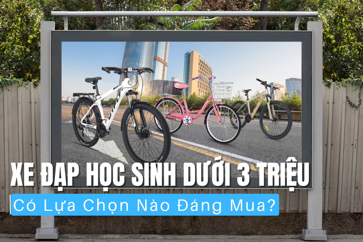 Xe Đạp Học Sinh Dưới 3 Triệu Có Lựa Chọn Nào Đáng Mua