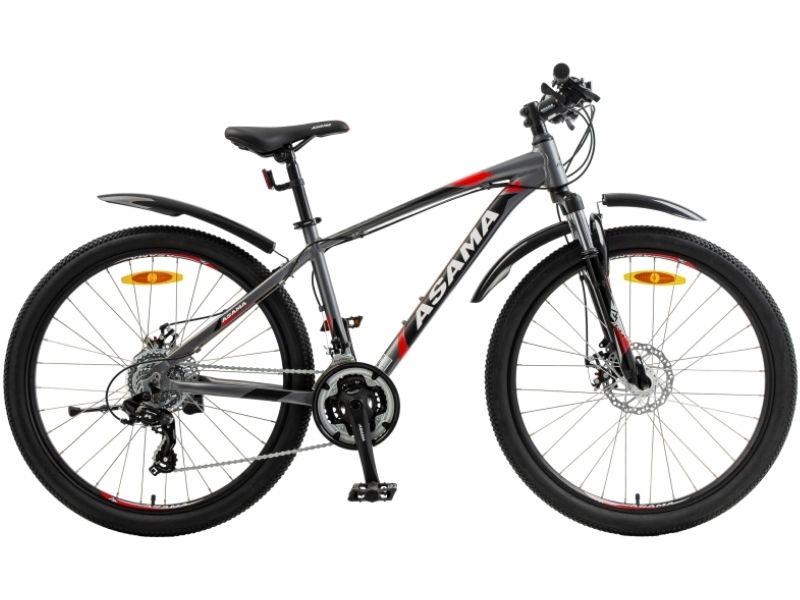 Điểm Danh Các Hãng Xe Đạp Ở Việt Nam Đáng Mua Nhất 4 Xe đạp ASAMA RANGER MTB 2605 thiết kế năng động