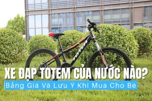 Xe Đạp Totem Của Nước Nào? Bảng Giá Và Những Lưu Ý Khi Mua Cho Bé 9 Xe đạp Totem có nguồn gốc xuất xứ từ Đài Loan năm 1987