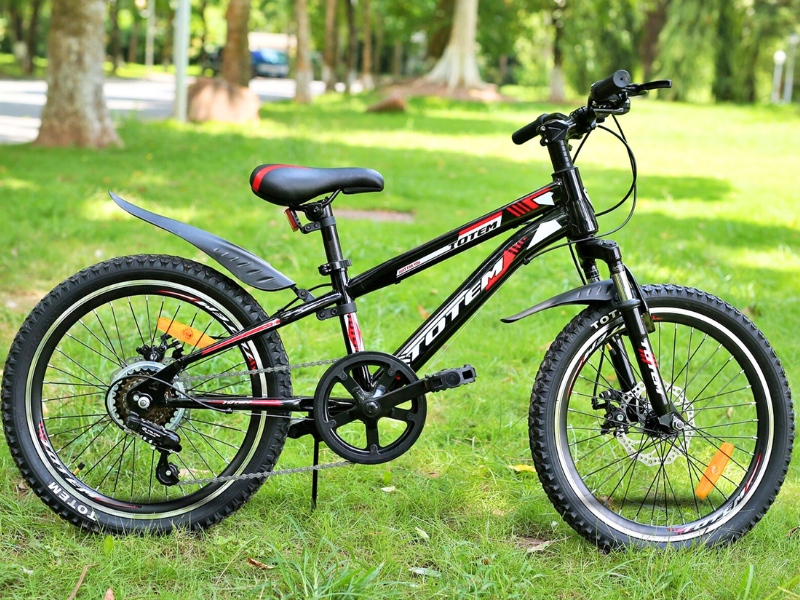 Xe Đạp Totem Của Nước Nào? Bảng Giá Và Những Lưu Ý Khi Mua Cho Bé 3 Xe đạp trẻ em Totem có thiết kế năng động, cá tính