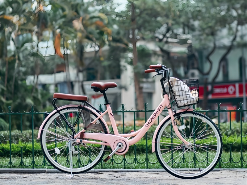 Top 4 Mẫu Xe Đạp Nữ Màu Hồng Hot Và 8 Bí Kíp Chọn Chuẩn 1 Xe đạp nữ màu hồng có đa dạng kiểu dáng phù hợp với mọi nhu cầu