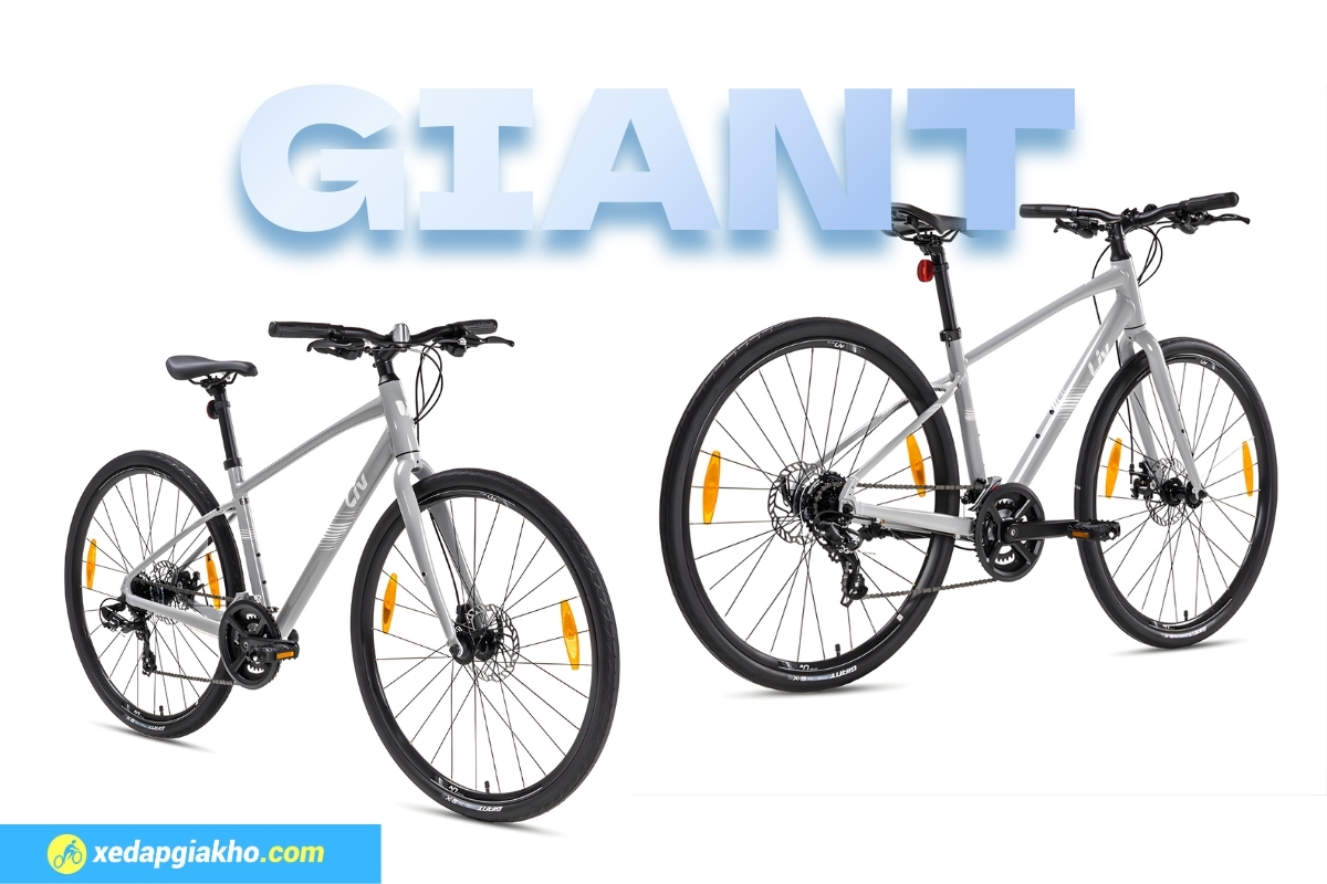 Thương hiệu xe đạp chuẩn quốc tế, sử dụng công nghệ hiện đại